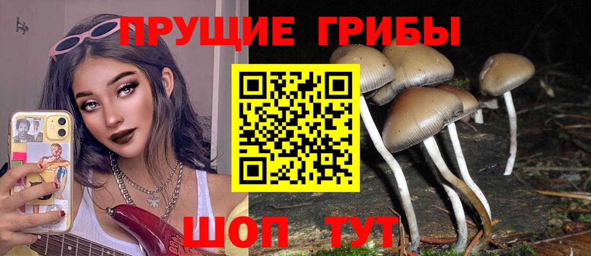 Находка  Псилоцибиновые грибы мицелий  Вход с VPN  Псилоцибиновые грибы Psilocybe 