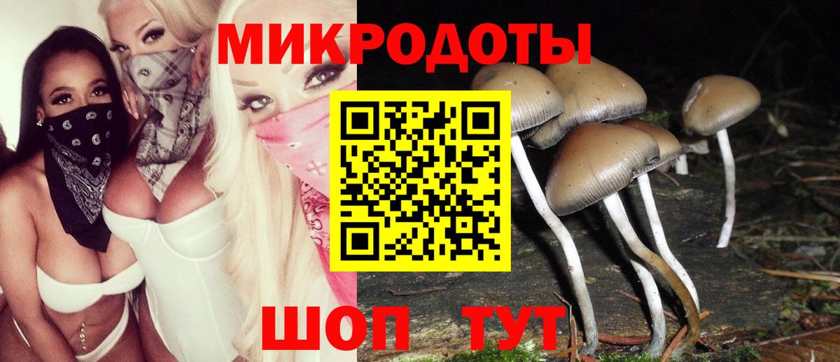 Галлюциногенные грибы Cubensis Находка